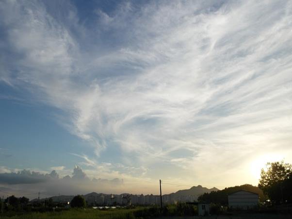 용산구 노인일자리